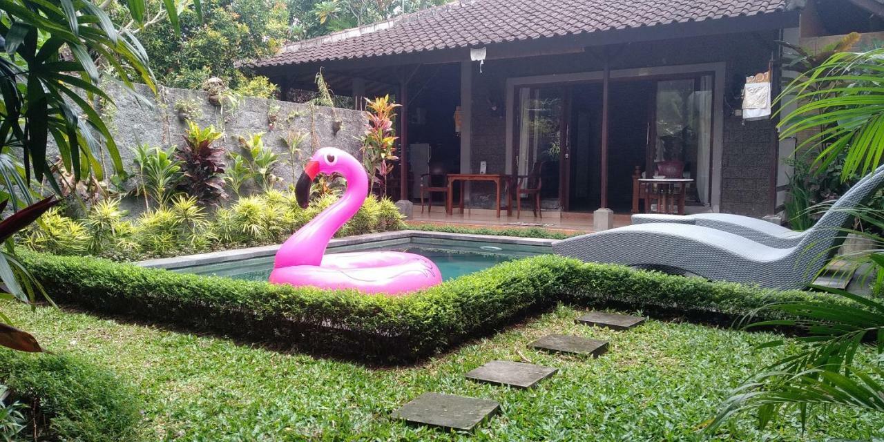 Dedik House विला